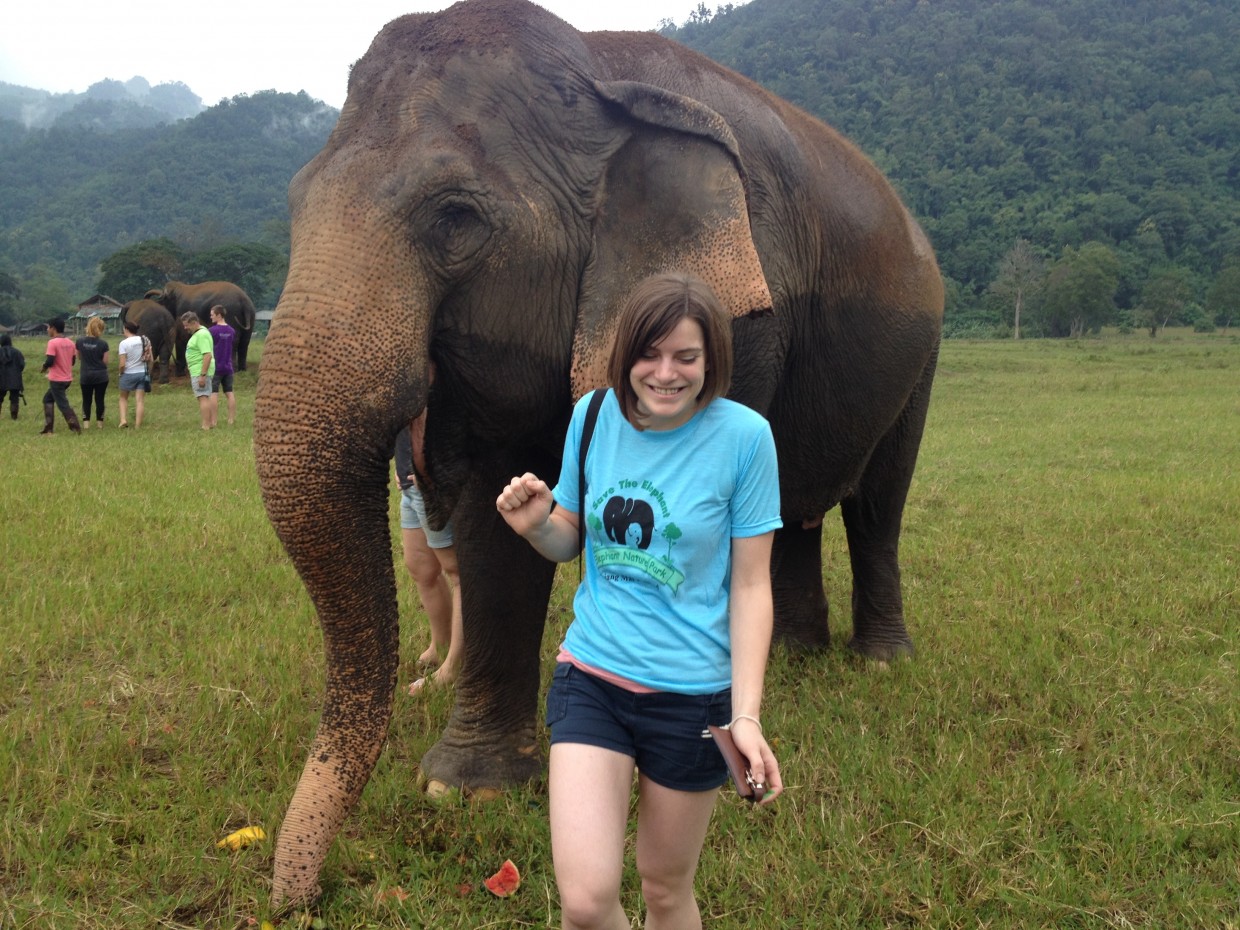 Ear slapped at Elephant Nature Park