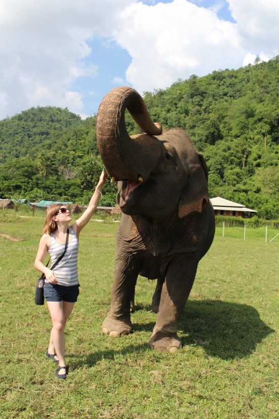 Elephant and me