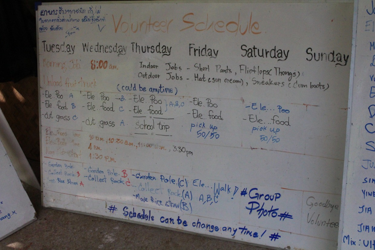 Elephant Nature Park volunteer schedule