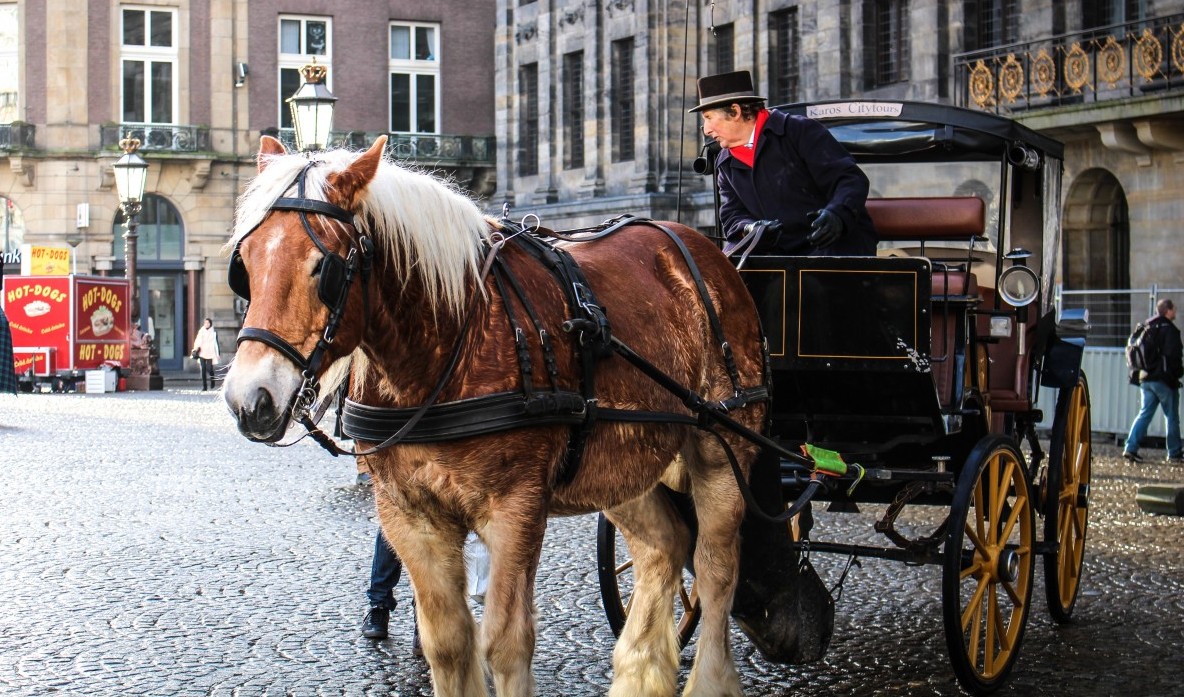 Horse and carriage in Amsterdam