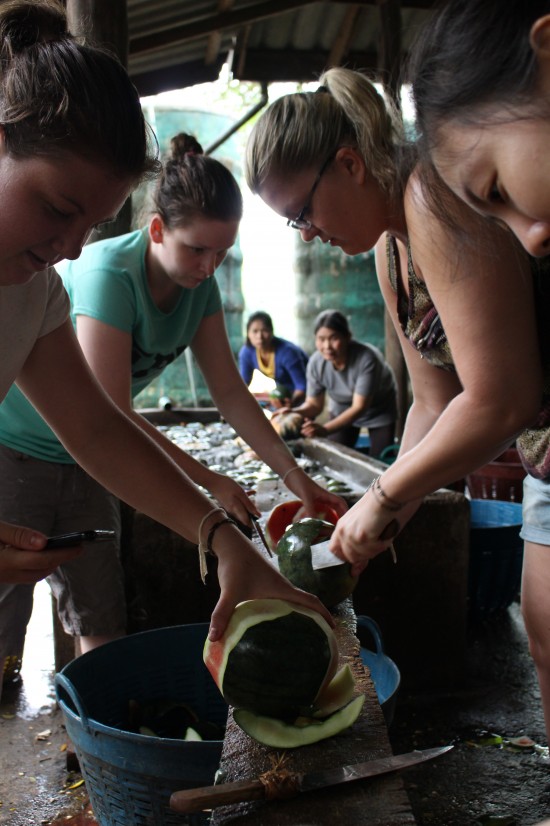 Kitchen work at the Elephant Nature Park