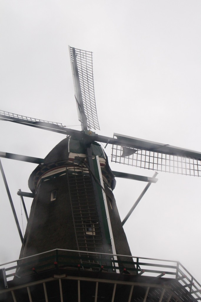 Windmill in Amsterdam
