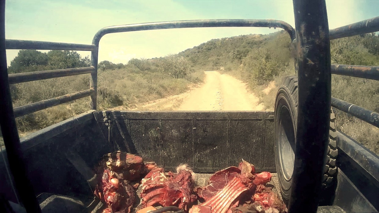 Meat in the truck