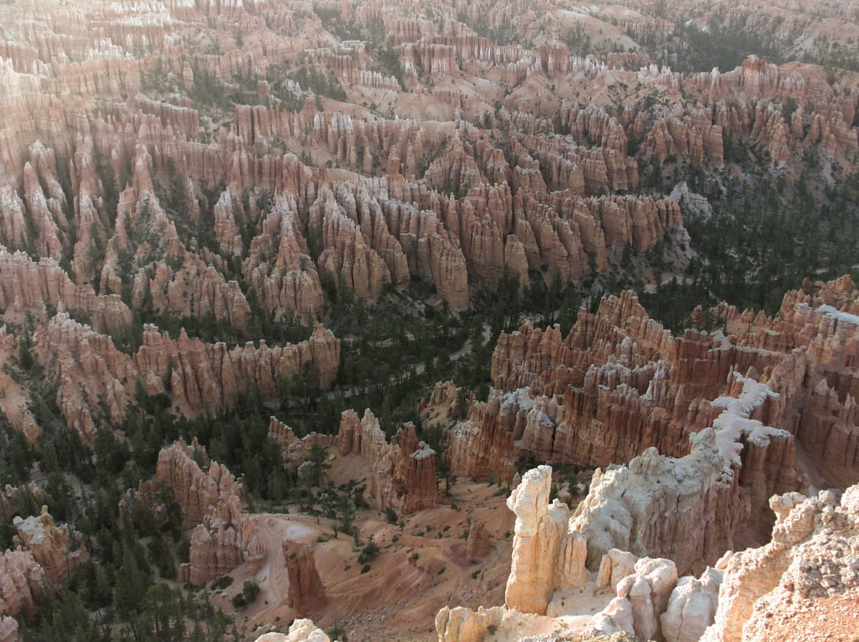 Bryce Canyon Hoodoos