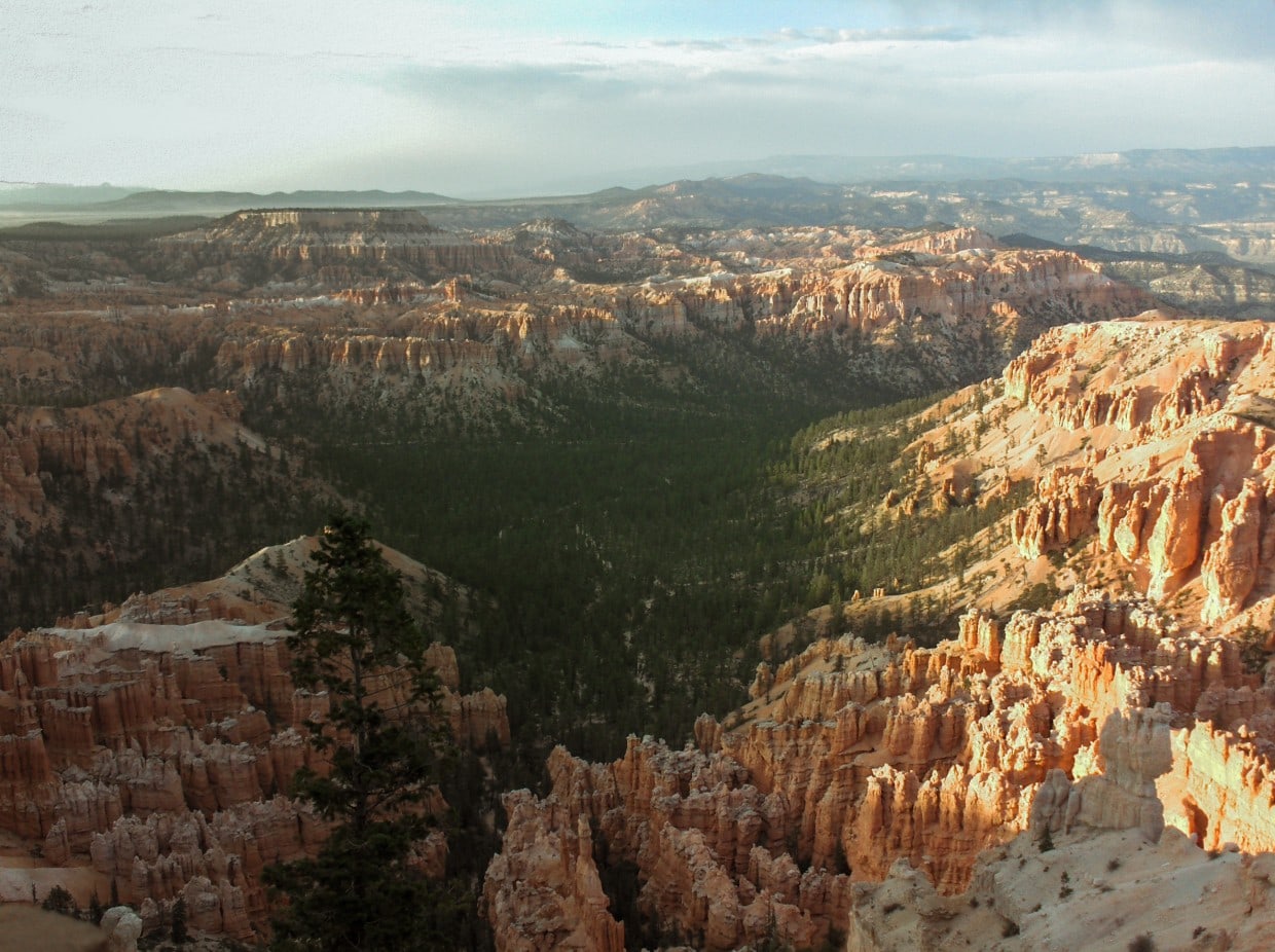 Bryce Canyon landscape