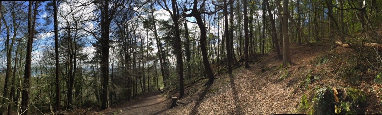 Cavehill, Belfast