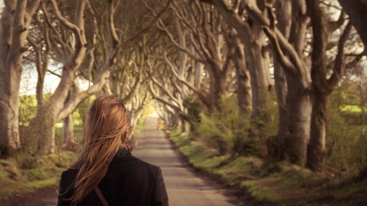 Close-up Dark Hedges