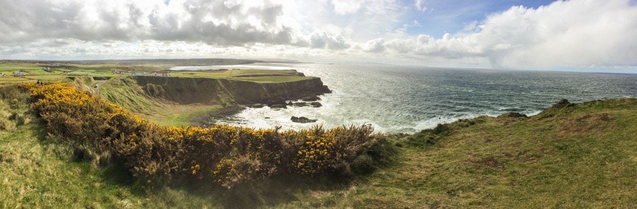 Giant's Causeway landscape