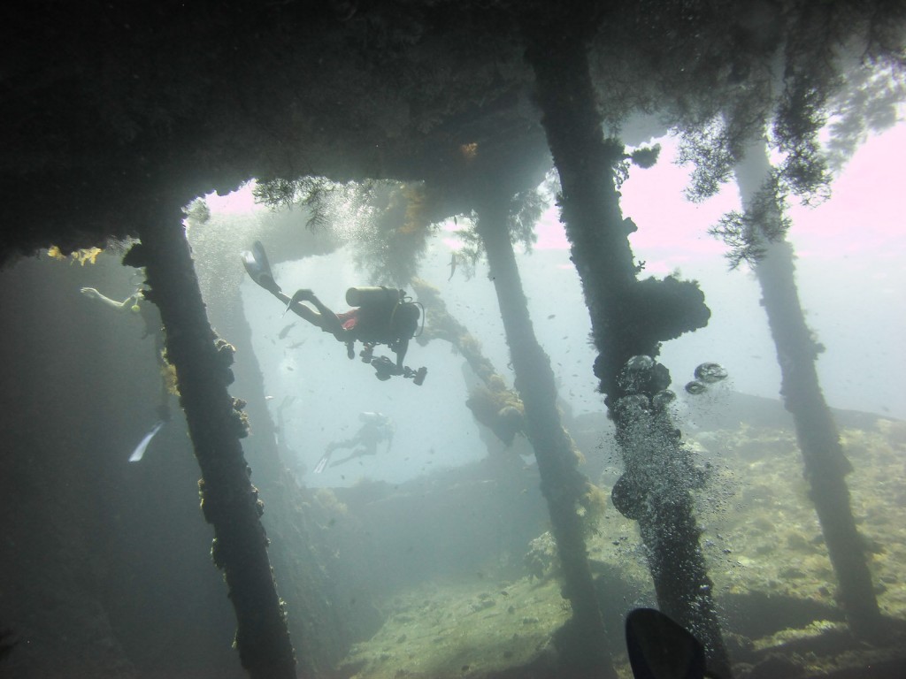 Bali Diving