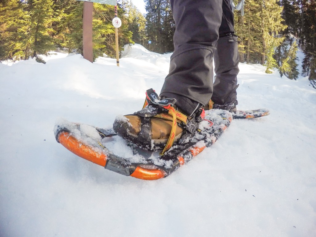 Snowshoes Vancouver Mount Seymour snowshoeing