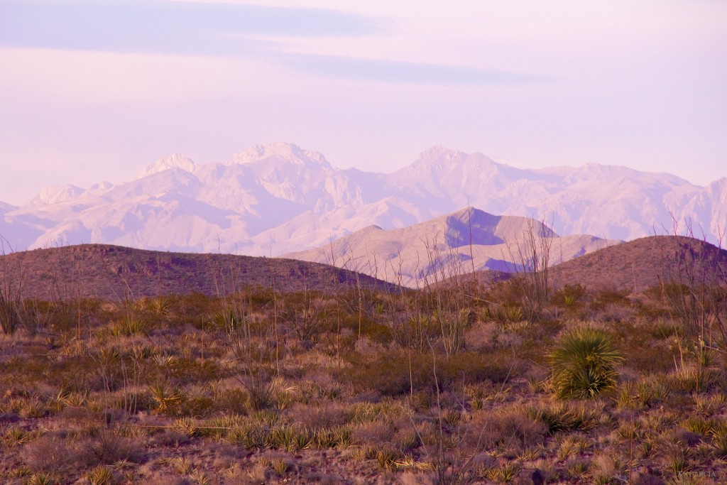 View of the Franklin Mountains