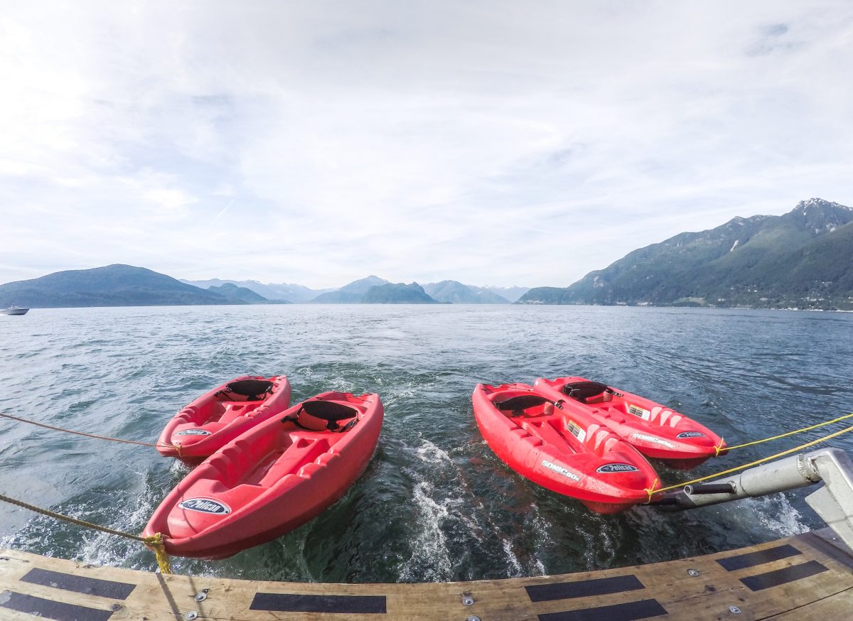 Swimming and kayaking with seals top 7 outdoor activities in Vancouver