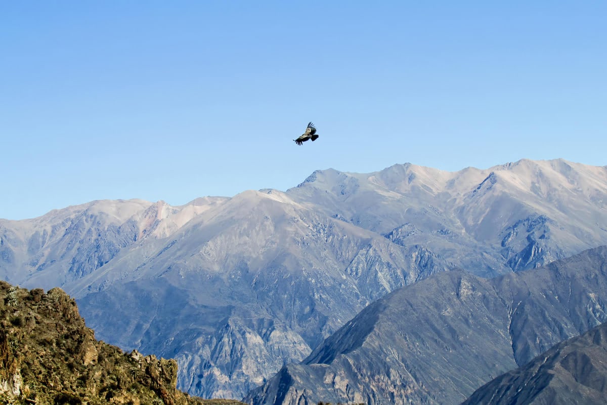 Colca Canyon 2 day tour