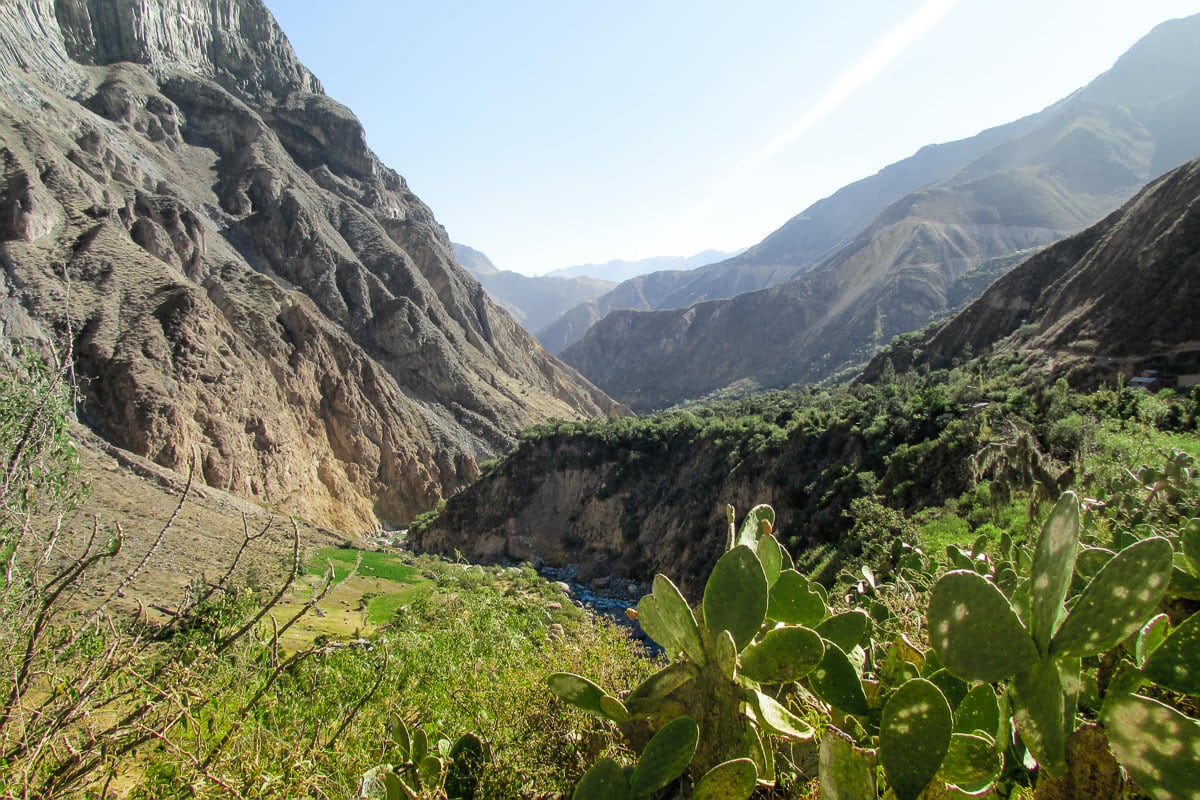 Colca Canyon Tour