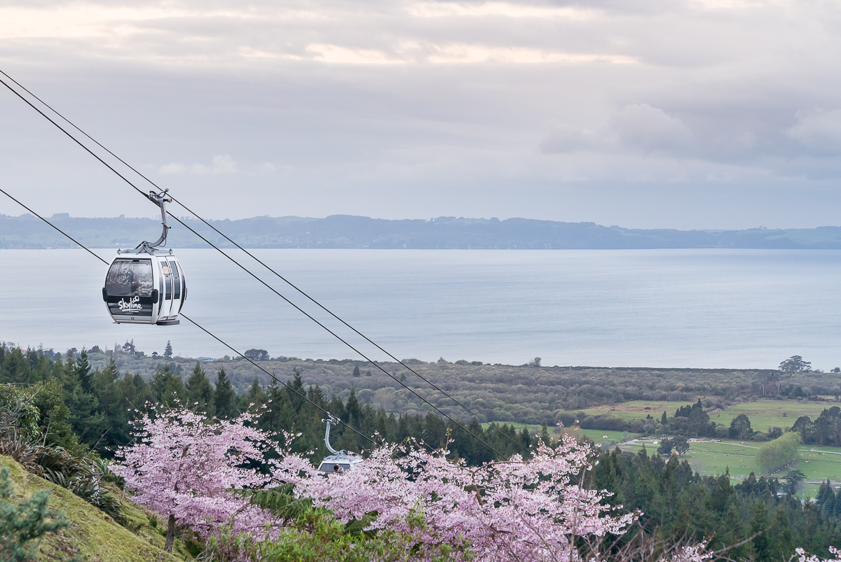 Skyline Gondola Rotorua