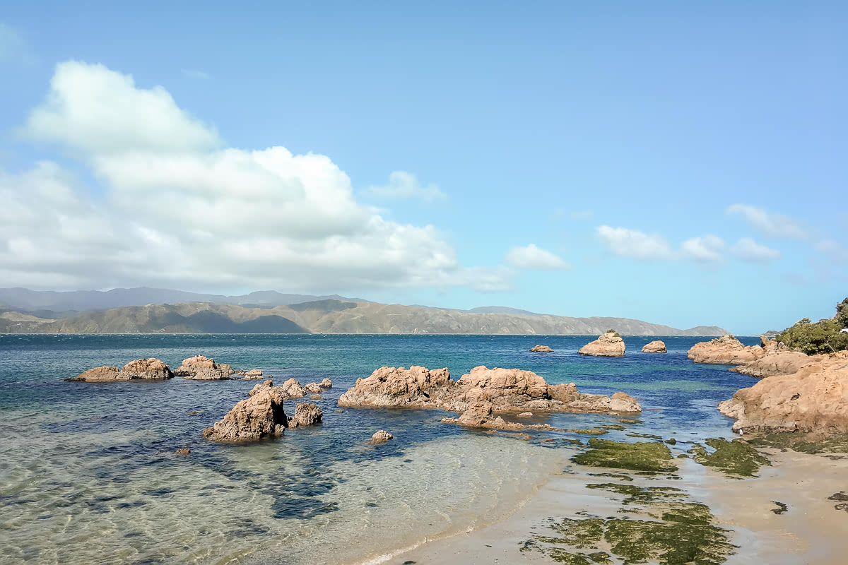 Scorching Bay in Wellington