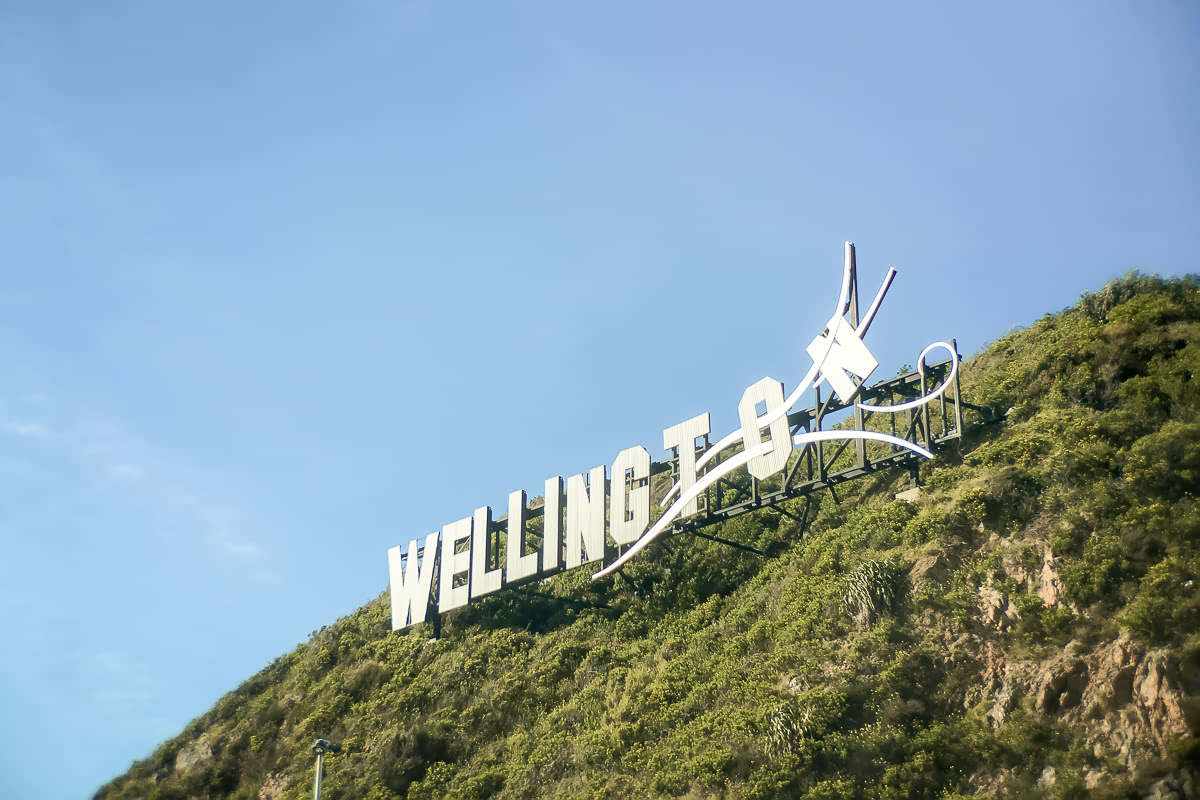 Windy Wellington