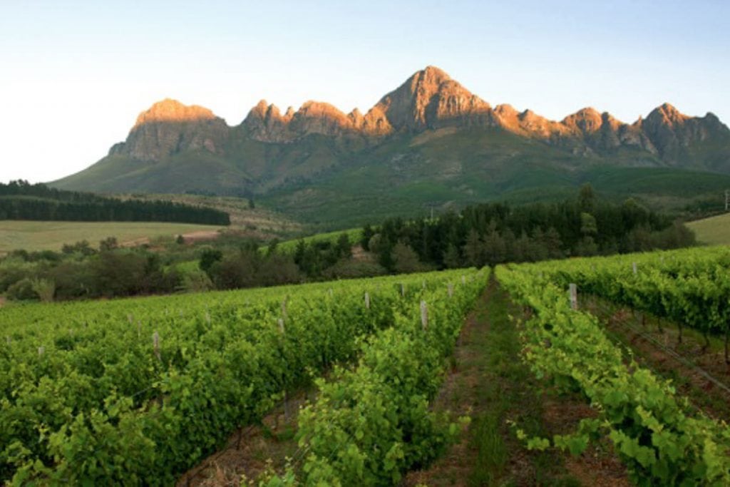 Lourensford wine farm near Cape Town South Africa