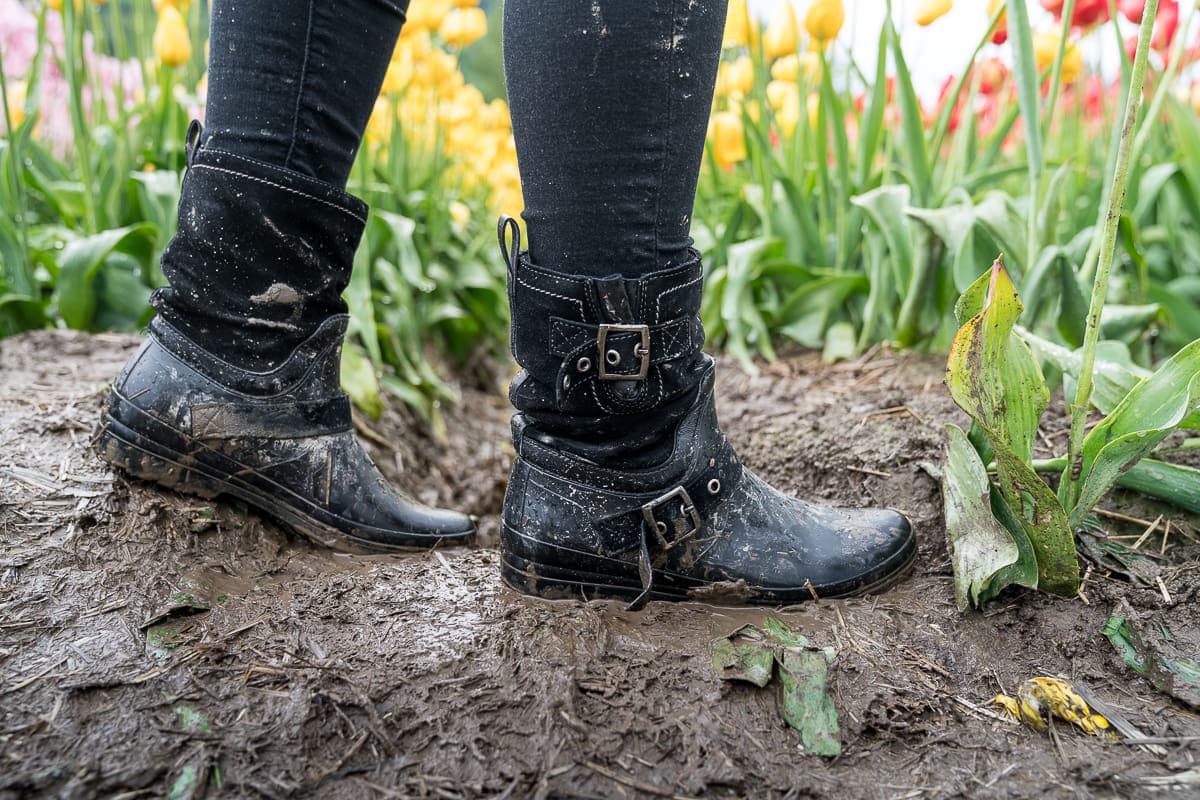 muddy boots at abbotsford tulip festival