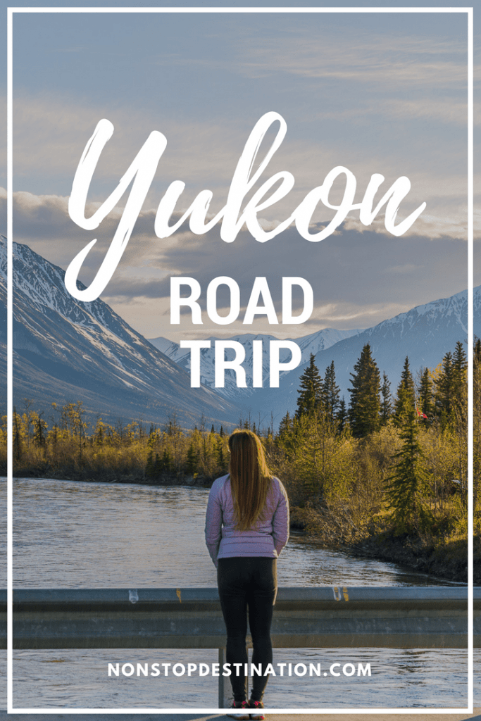 Yukon road trip - The Allure of the North - Where to go, where to stay, what to do, wildlife viewing #yukon #canada #roadtrip #spring #trip #wildlife #photography