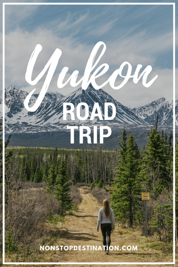 Yukon road trip - The Allure of the North - Where to go, where to stay, what to do, wildlife viewing #yukon #canada #roadtrip #spring #trip #wildlife #photography